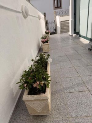 O Grupo de Lavores e Arraiolos da Academia S&eacute;nior de Caminha voltou a dar provas do seu talento, dedica&ccedil;&atilde;o e esp&iacute;rito comunit&aacute;rio, ao embelezar o espa&ccedil;o exterior da Junta de Freguesia