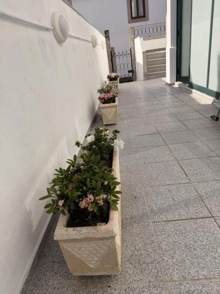 O Grupo de Lavores e Arraiolos da Academia S&eacute;nior de Caminha voltou a dar provas do seu talento, dedica&ccedil;&atilde;o e esp&iacute;rito comunit&aacute;rio, ao embelezar o espa&ccedil;o exterior da Junta de Freguesia