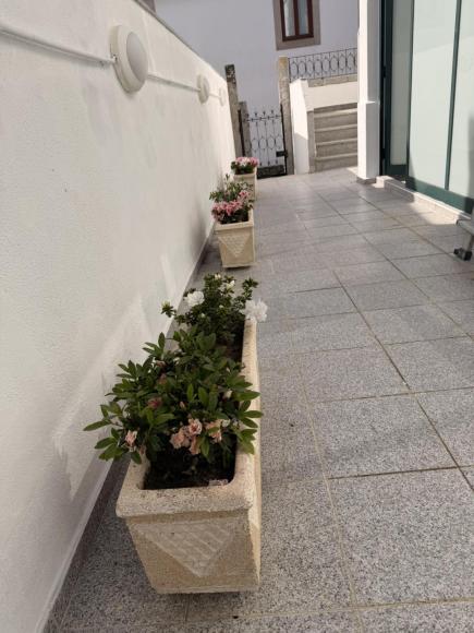 O Grupo de Lavores e Arraiolos da Academia S&eacute;nior de Caminha voltou a dar provas do seu talento, dedica&ccedil;&atilde;o e esp&iacute;rito comunit&aacute;rio, ao embelezar o espa&ccedil;o exterior da Junta de Freguesia