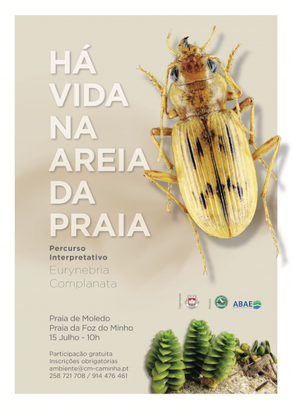 Percurso interpretativo &ldquo;H&aacute; vida na areia da praia&rdquo; 