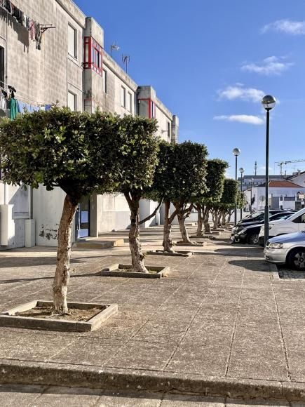 Limpeza efetuada no m&ecirc;s de julho!