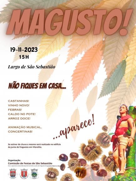 Angaria&ccedil;&atilde;o de Fundos para a Festa de S&atilde;o Sebasti&atilde;o - Vilarelho