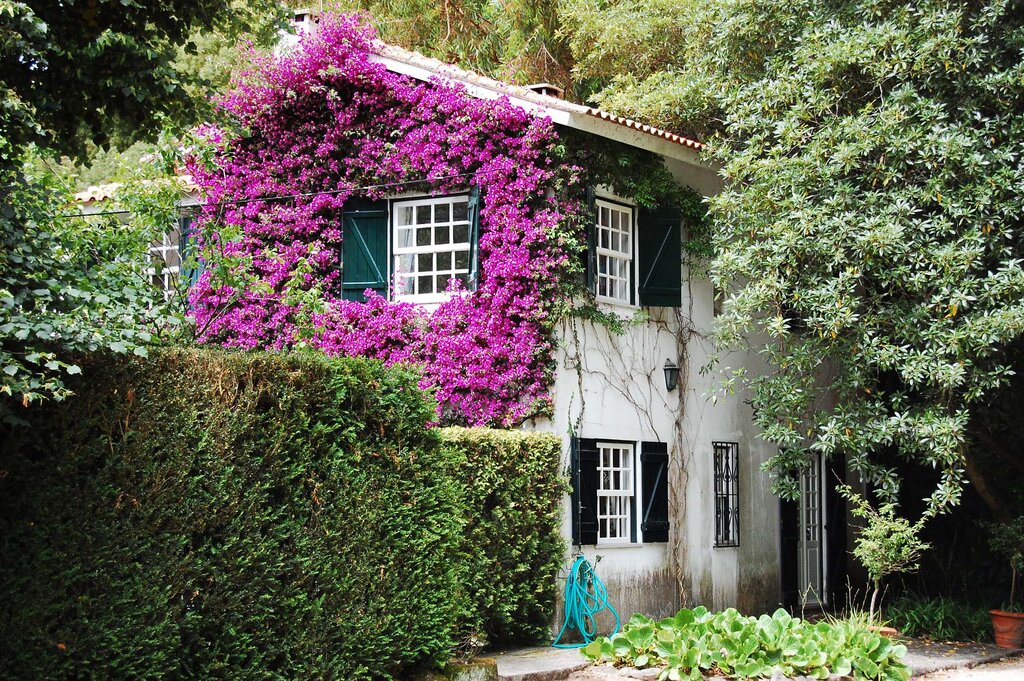 CASA DE ESTEIR&Oacute;